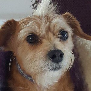 Meet your Posher, Bettina